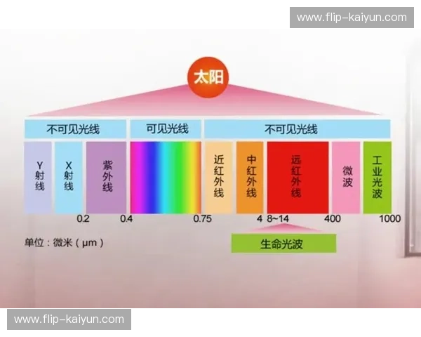 ---:让生活在三道线之间有光 ---:让生活在三道线之间有光