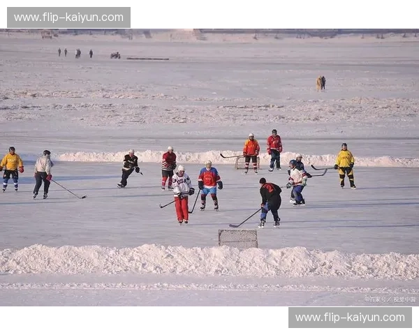 冰球:速度、激情与团队精神的冰面畅想 冰球:速度、激情与团队精神的冰面畅想